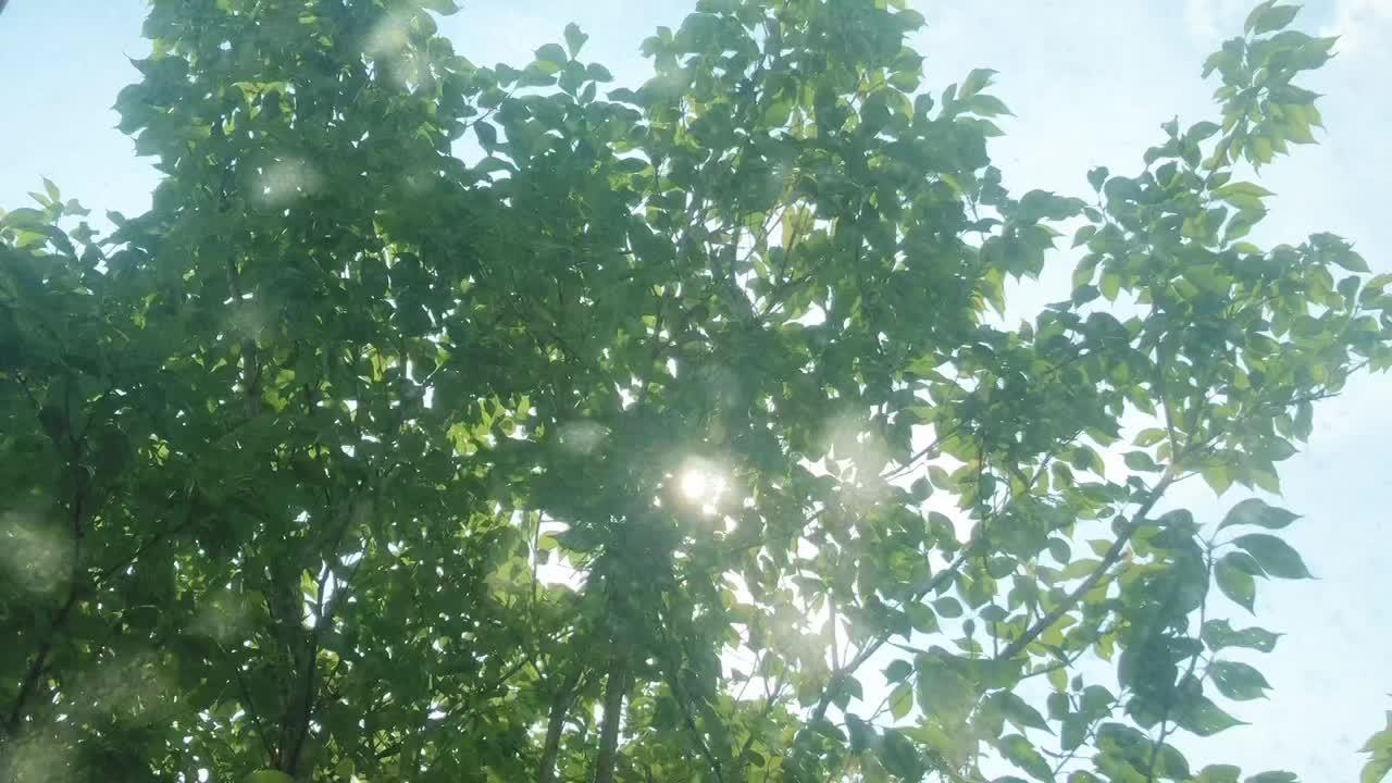  #校园 #青春校园 #校园生活 #校园随拍 #最美校园 火热报名中